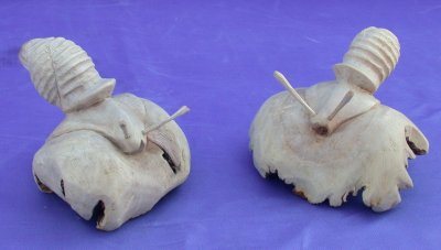 LUMACA SU LEGNO PARASSITATO