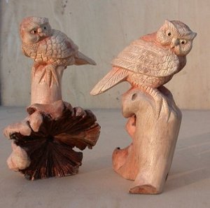 GUFO SU LEGNO PARASSITATO CM 10 - Image 5