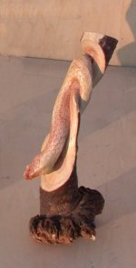 SERPENTE SU TRONCO PARASSITATO MINI (CM 20 SOTTILE)