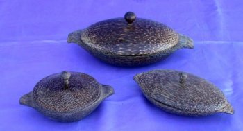 ZUCCHERIERA OVALE IN COCCO CM 15X11 - Image 6