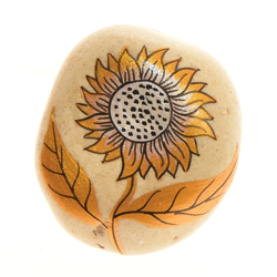 CALAMITA SASSO FIORE