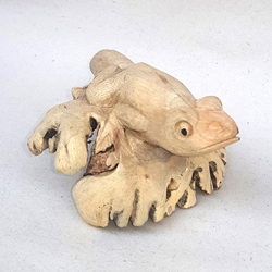 RANA SU FUNGHI IN LEGNO DRIFTWOOD