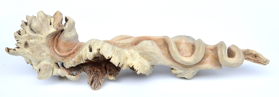 SERPENTE SU TRONCO PARASSITATO CM 33 - Image 3