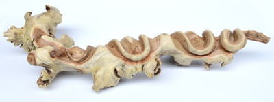 SERPENTE SU TRONCO PARASSITATO CM 33