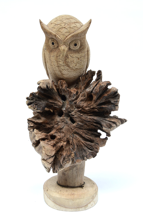 GUFO CM 7 SU LEGNO PARASSITATO SPECIAL MINI - Image 4