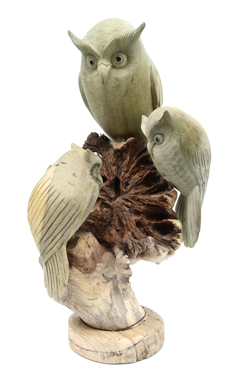 GUFO CM 7 SU LEGNO PARASSITATO SPECIAL MINI - Image 6