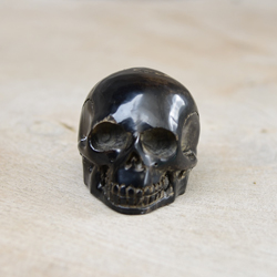 TESCHIO IN CORNO DI BUFALO MM 24/MM28