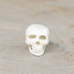 TESCHIO IN OSSO EQUINO MM 28/MM 32