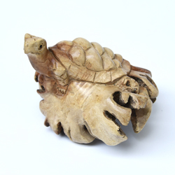 TARTARUGA MARINA SU LEGNO PARASSITATO CM 10