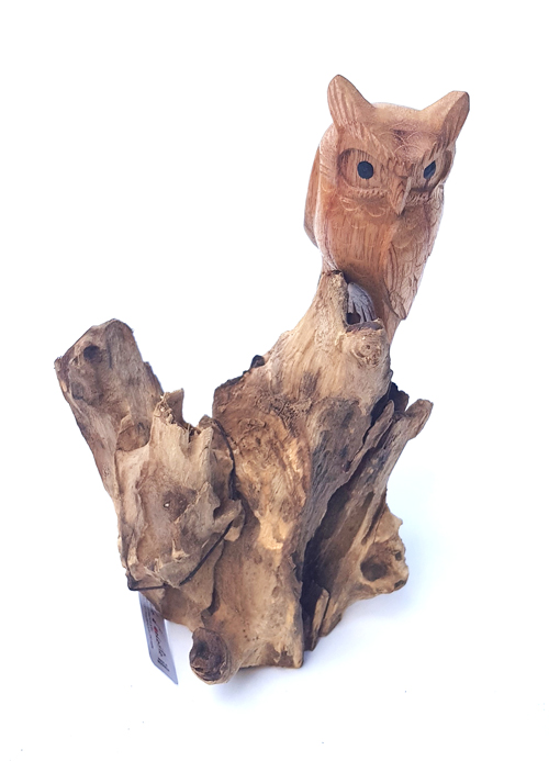 GUFO SU LEGNO PARASSITATO CM 10 - Image 8