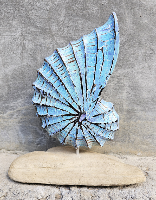 CONCHIGLIA PICCOLA SU LEGNO DRIFT WOOD CM 10,5X7 - Image 2