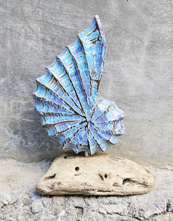 CONCHIGLIA A CHIOCCIOLA INTARSIATA E DIPINTA A MANO CON COLORI ASTRATTI SU PIEDISTALLO SU LEGNO DRIFT WOOD CM 20C15