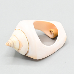 ANELLI CON CONCHIGLIA INTERA